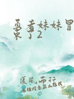 勇者妹妹冒险结束了2