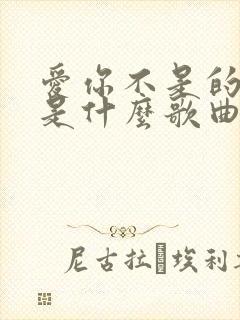 爱你不是的模样是什么歌曲