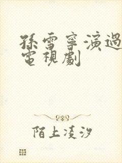 孙雪宁演过哪些电视剧