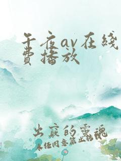 午夜av在线免费播放