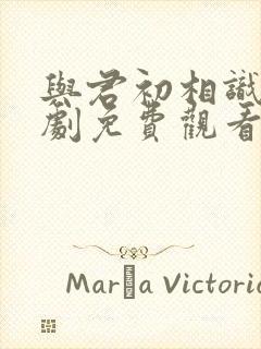 与君初相识电视剧免费观看40集