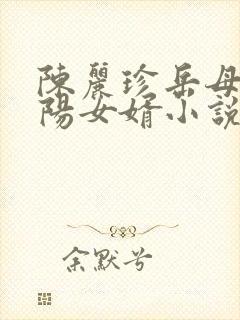 陈丽珍岳母,宋阳女婿小说
