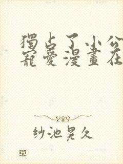 独占了小公主的宠爱漫画在线观看