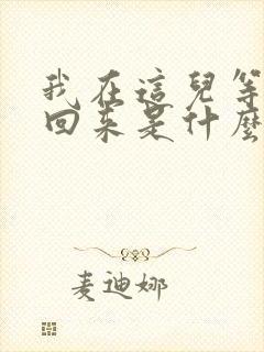 我在这儿等着你回来是什么歌