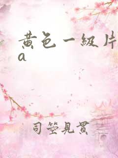 黄色一级片.aa