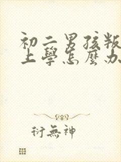 初二男孩叛逆不上学怎么办