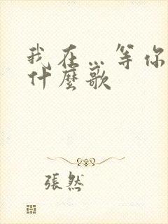 我在…等你来是什么歌