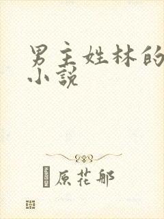 男主姓林的玄幻小说