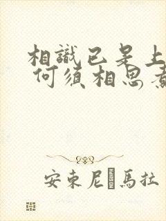 相识已是上上签 何须相思煮余年