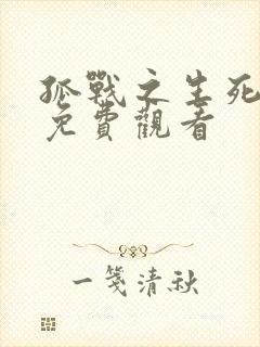 孤战之生死营救免费观看