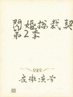 闪婚总裁契约妻第2季