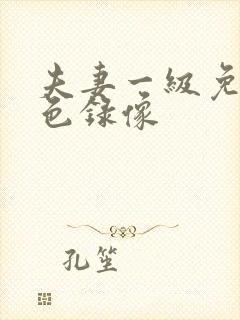 夫妻一级免费黄色录像