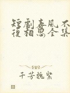 短剧春风不言勿复相思全集