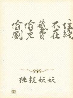 偷偷藏不住电视剧免费在线