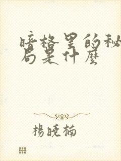 暗格里的秘密结局是什么