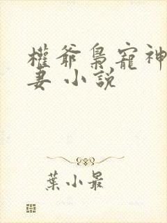 权爷枭宠神秘娇妻 小说