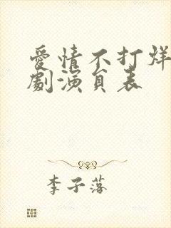 爱情不打烊电视剧演员表