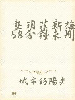 龚玥菲新梅瓶158分钟未删减版