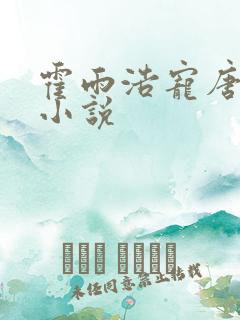 霍雨浩宠唐舞桐小说