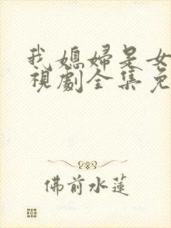 我媳妇是女王电视剧全集免费观看