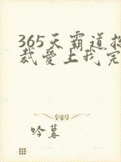 365天霸道总裁爱上我完整版