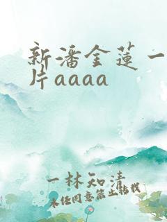 新潘金莲一级淫片aaaa