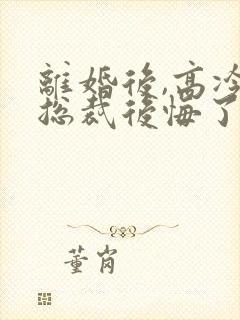 离婚后,高冷女总裁后悔了小说