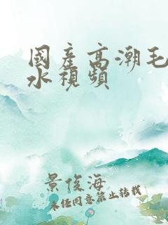 国产高潮毛片喷水视频