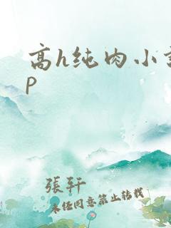 高h纯肉小说np