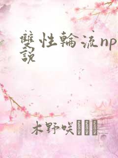 双性轮流np小说