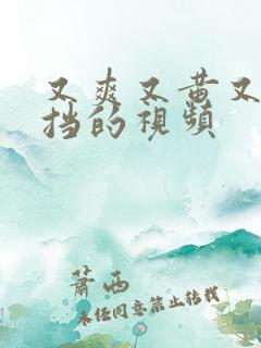 又爽又黄又无遮挡的视频