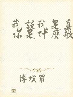 我说我是真的爱你是什么歌的歌词