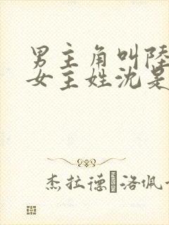 男主角叫陆霆琛女主姓沈是重生的