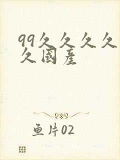 99久久久久久久国产
