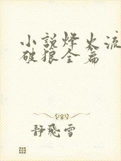 小说烽火流金杀破狼全篇