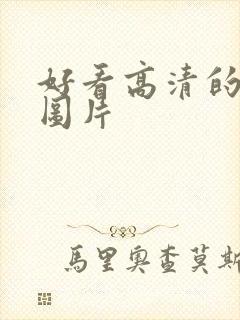 好看高清的背景图片