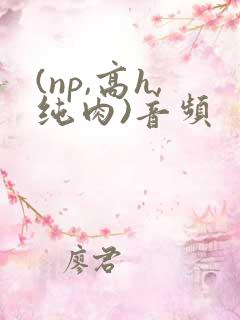 (np,高h,纯肉)音频