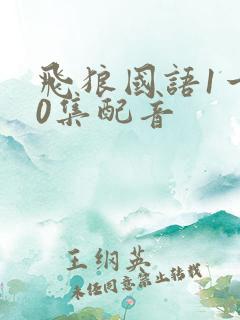 飞狼国语1一20集配音