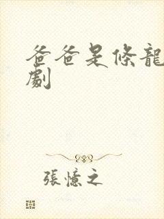 爸爸是条龙电视剧