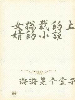 女总裁的上门女婿的小说