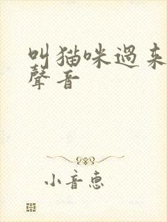 叫猫咪过来玩的声音