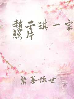 赵子琪一家三口照片