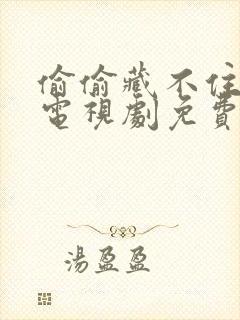 偷偷藏不住全集电视剧免费观看