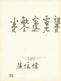 小敏家电视剧免费全集免费播放