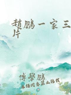 赵鹏一家三口照片