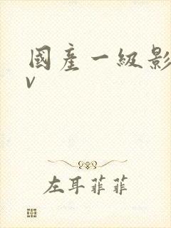 国产一级影片av