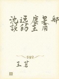 沈逸尘是哪本小说的主角