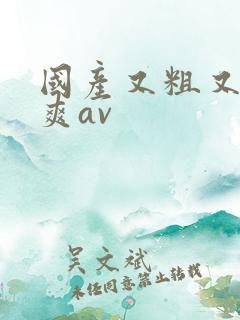 国产又粗又猛又爽av