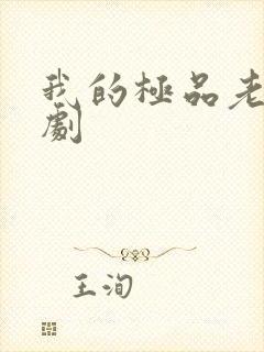 我的极品老婆短剧