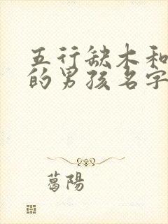 五行缺木和缺水的男孩名字